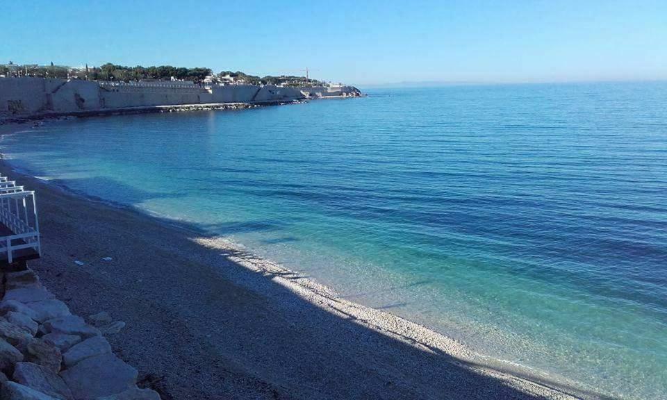 Palazzo Lupicini Affittacamere Bisceglie Dış mekan fotoğraf